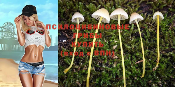 ПСИЛОЦИБИНОВЫЕ ГРИБЫ Балахна