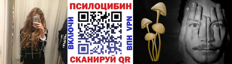 Псилоцибиновые грибы мицелий Ставрополь